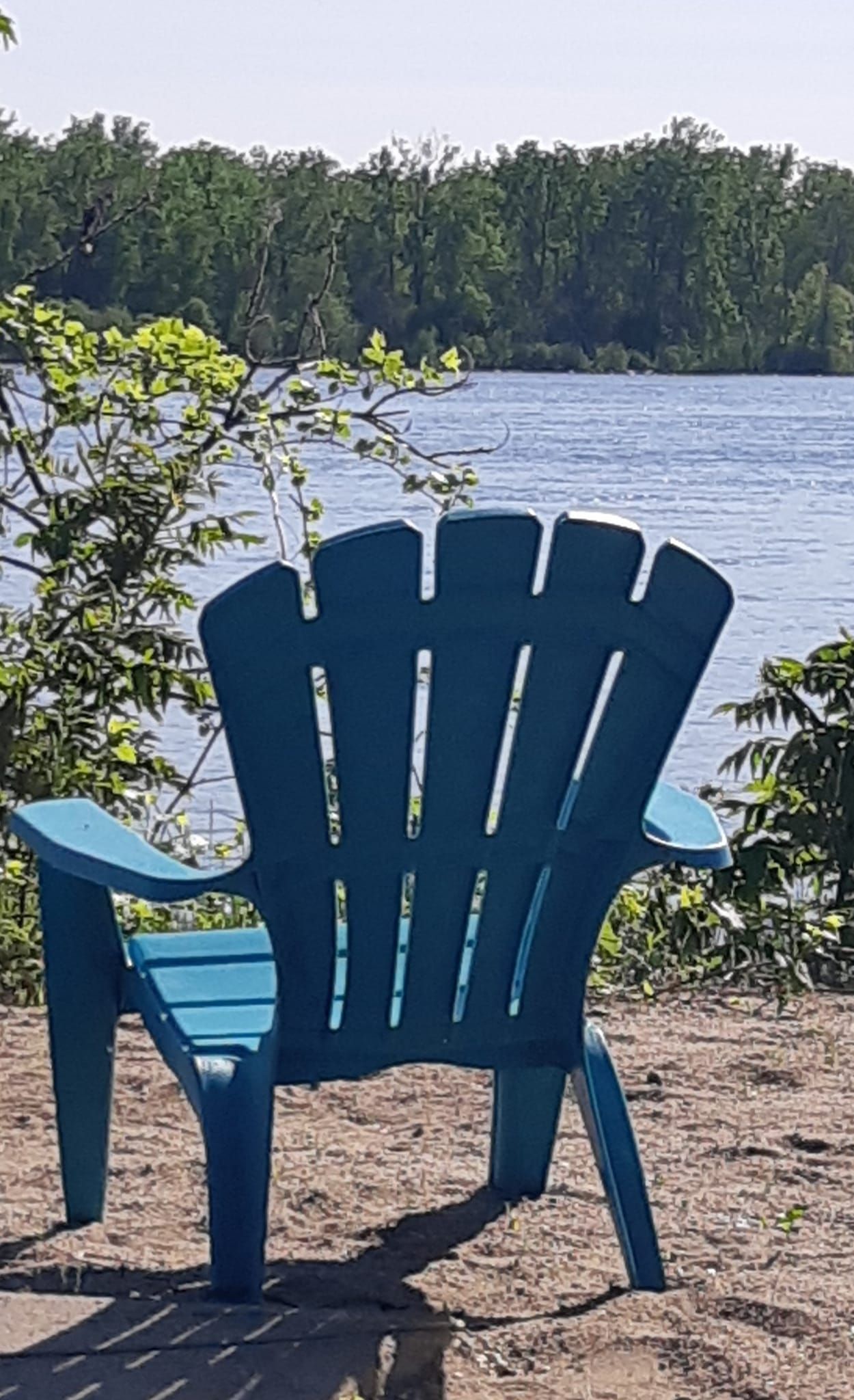 Odoo image et bloc de texte